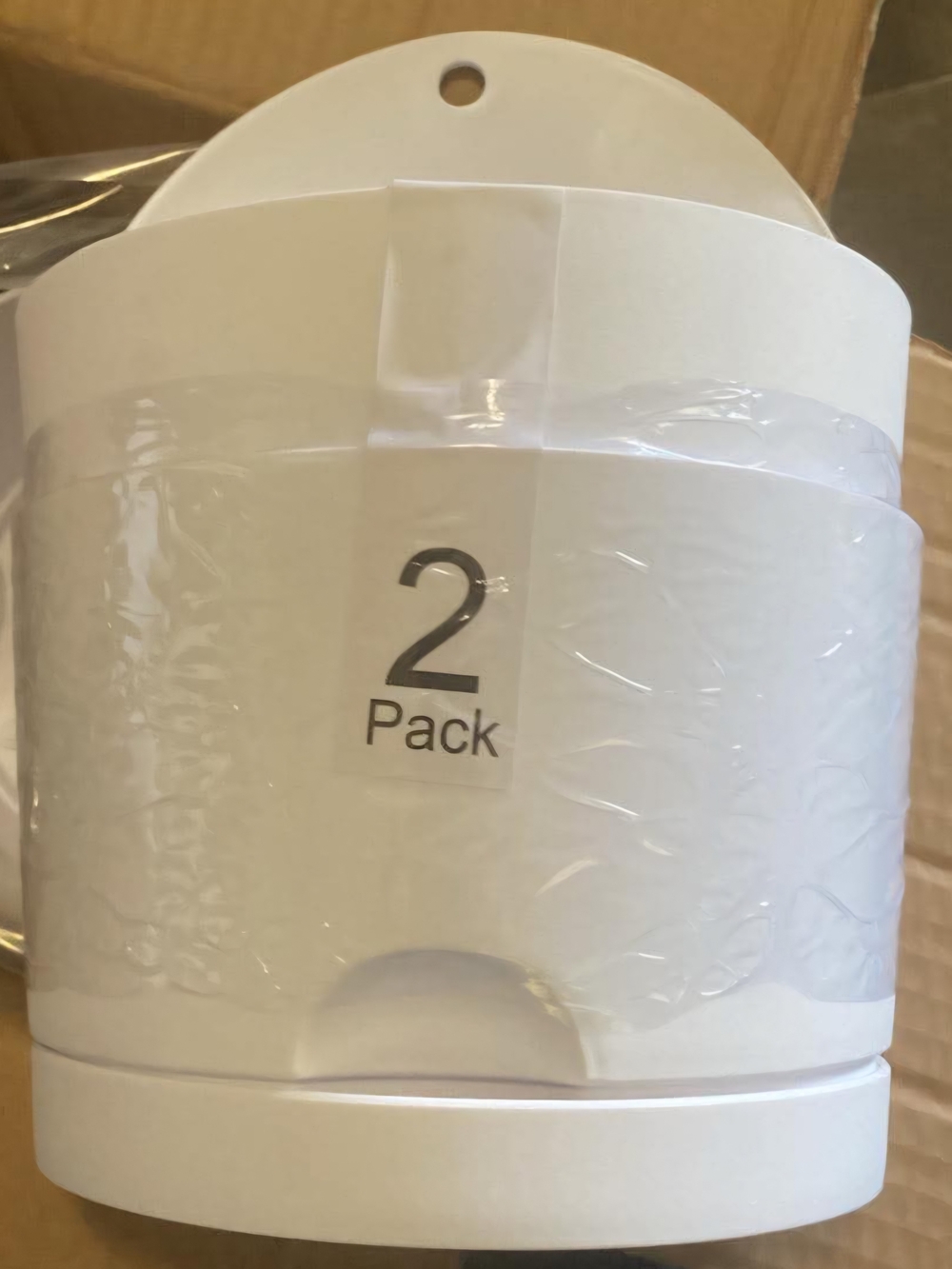 2 Pack Of Wall Plant Hangers
